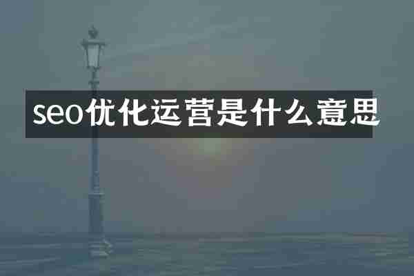 seo优化运营是什么意思