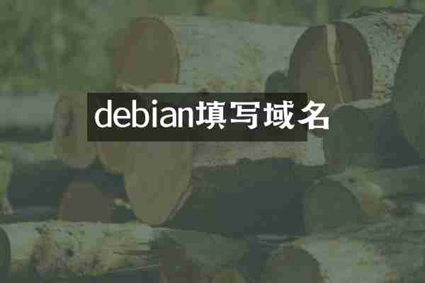 debian填写域名