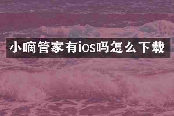 小嘀管家有ios吗怎么下载