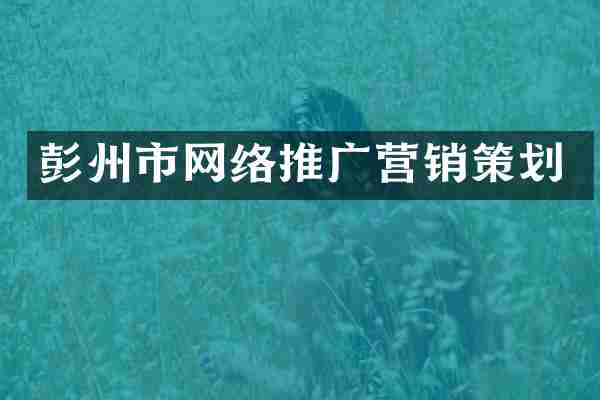 彭州市网络推广营销策划