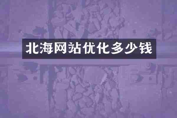 北海网站优化多少钱
