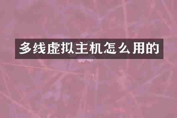 多线虚拟主机怎么用的