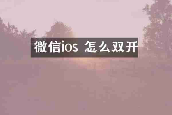 微信ios 怎么双开