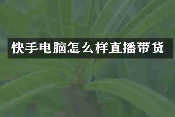 快手电脑怎么样直播带货
