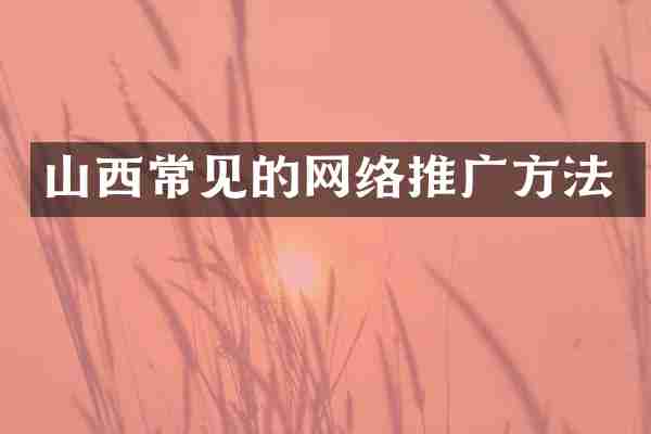 山西常见的网络推广方法