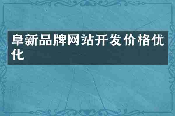 阜新品牌网站开发价格优化
