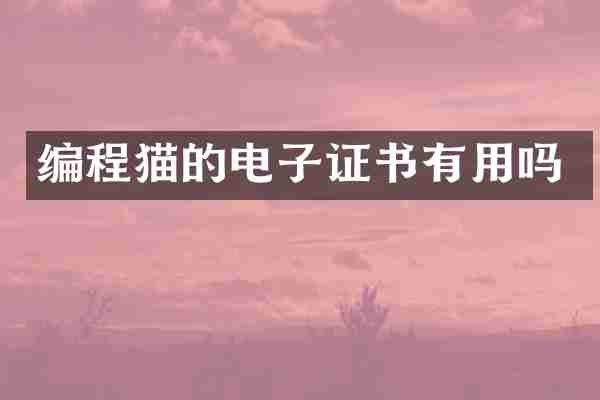 编程猫的电子证书有用吗