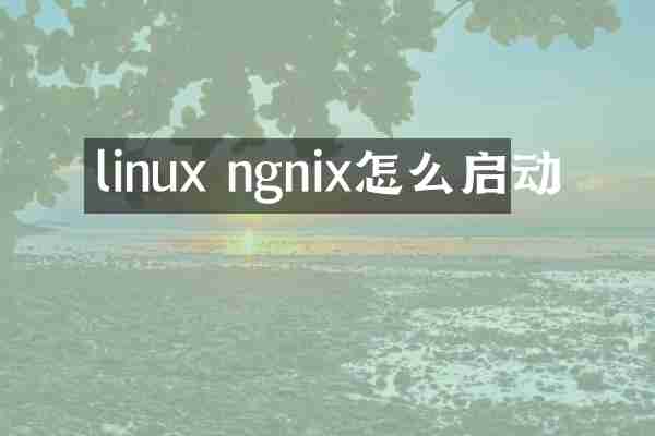 linux ngnix怎么启动