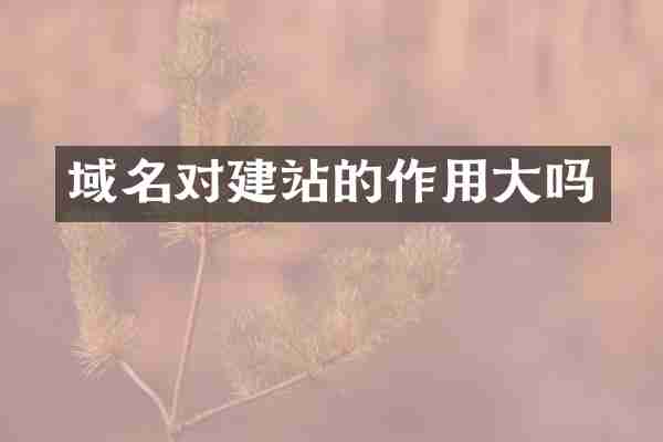 域名对建站的作用大吗