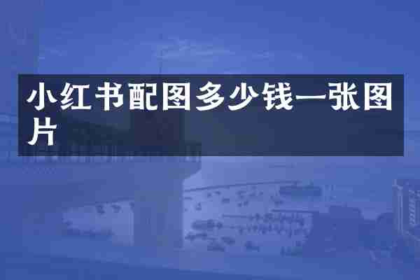 小红书配图多少钱一张图片