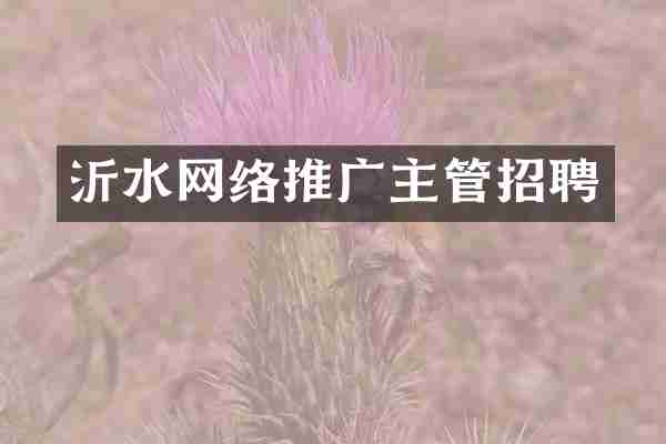 沂水网络推广主管招聘