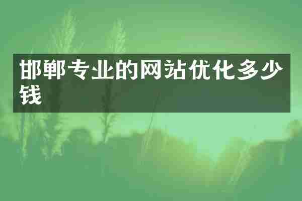 邯郸专业的网站优化多少钱