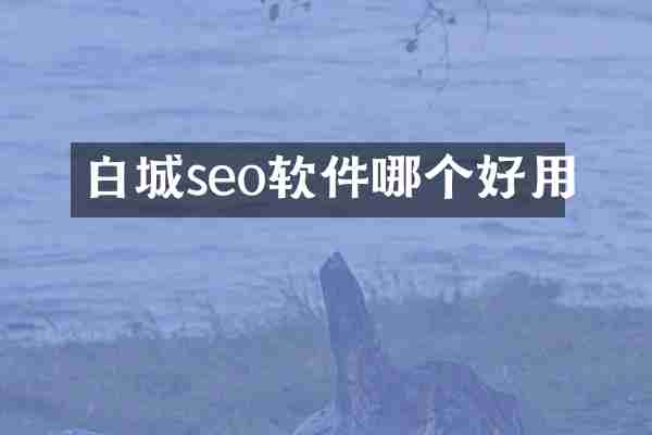 白城seo软件哪个好用