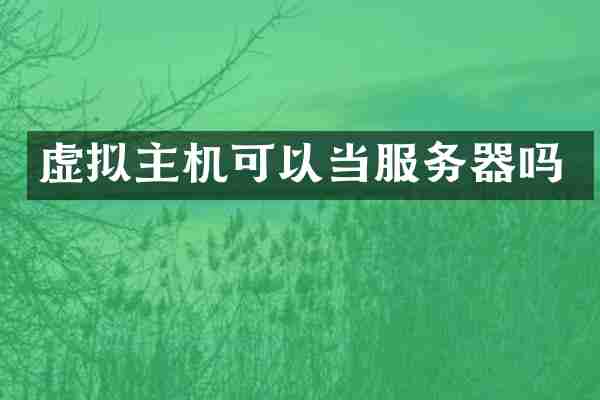 虚拟主机可以当服务器吗
