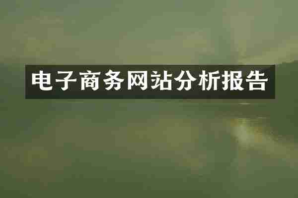 电子商务网站分析报告
