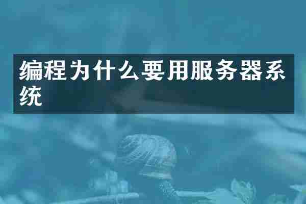 编程为什么要用服务器系统