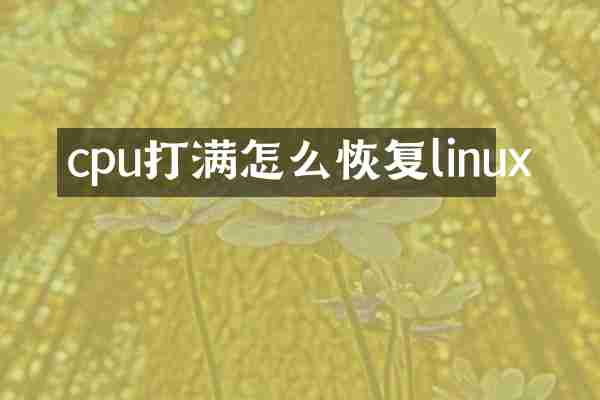 cpu打满怎么恢复linux