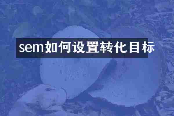 sem如何设置转化目标