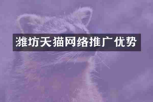 潍坊天猫网络推广优势