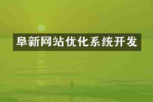 阜新网站优化系统开发