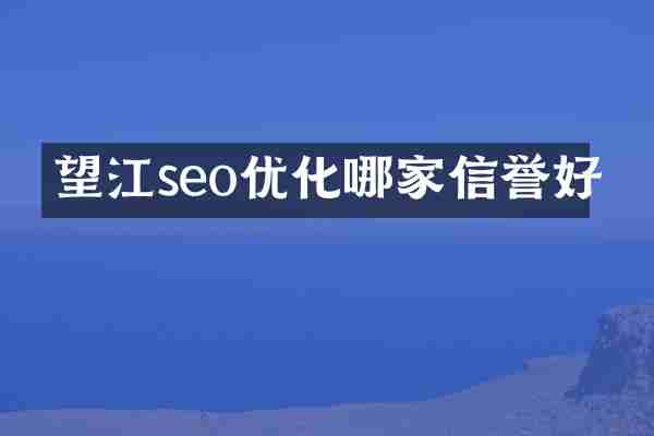 望江seo优化哪家信誉好
