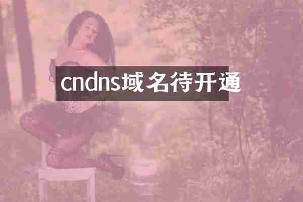 cndns域名待开通