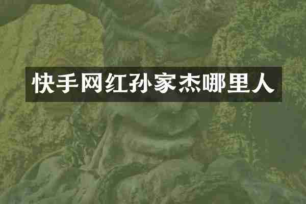 快手网红孙家杰哪里人