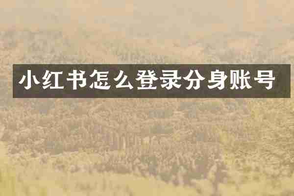 小红书怎么登录分身账号