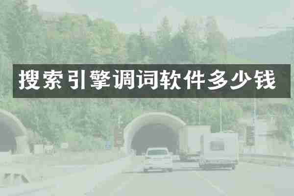 搜索引擎调词软件多少钱