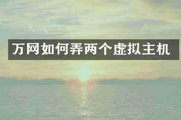 万网如何弄两个虚拟主机