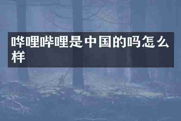 哗哩哔哩是中国的吗怎么样