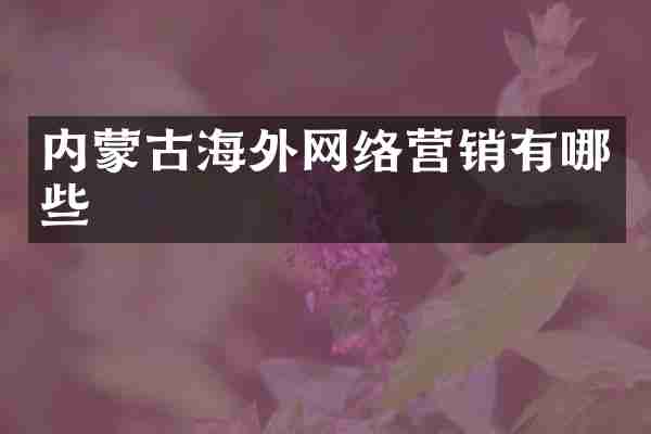 内蒙古海外网络营销有哪些
