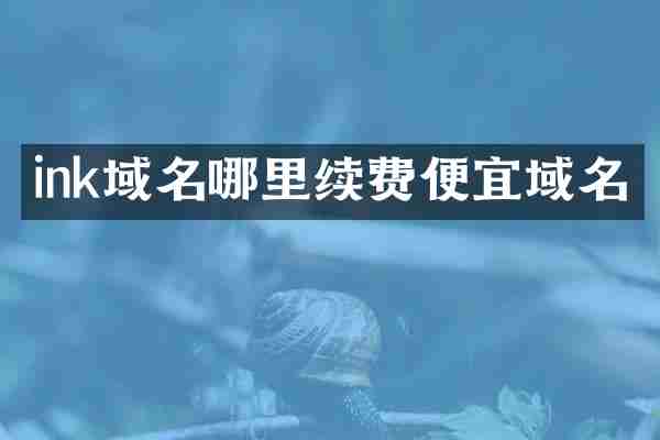 ink域名哪里续费便宜域名