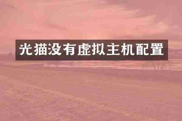 光猫没有虚拟主机配置