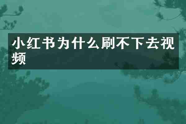 小红书为什么刷不下去视频