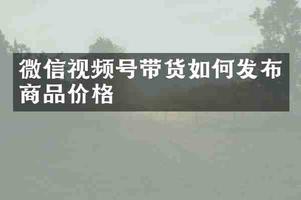 微信视频号带货如何发布商品价格