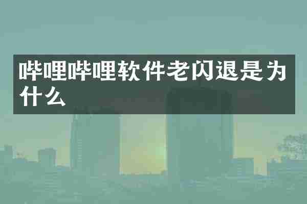 哔哩哔哩软件老闪退是为什么
