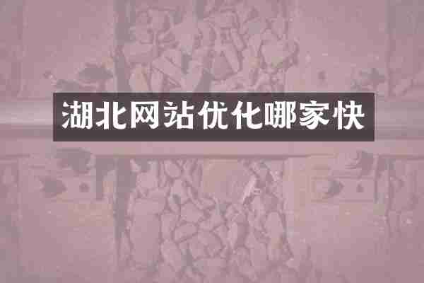 湖北网站优化哪家快