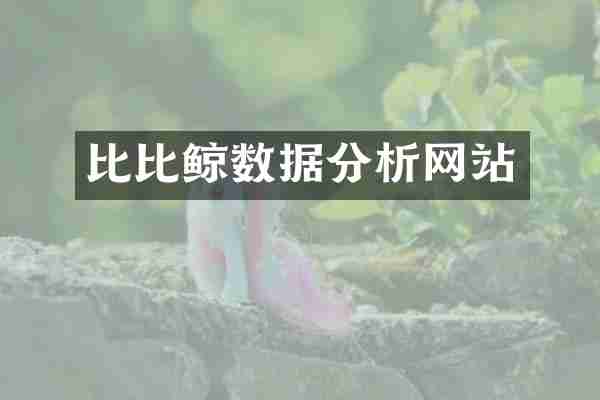 比比鲸数据分析网站
