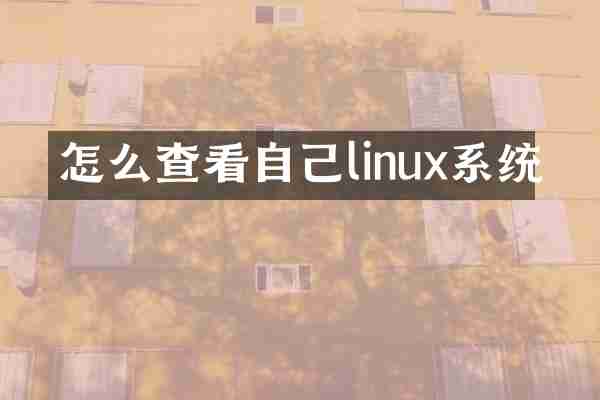 怎么查看自己linux系统