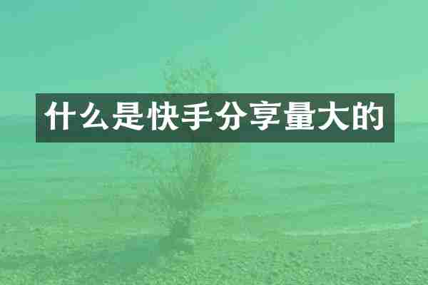 什么是快手分享量大的