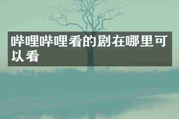 哔哩哔哩看的剧在哪里可以看