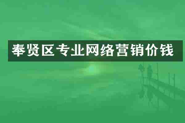 奉贤区专业网络营销价钱