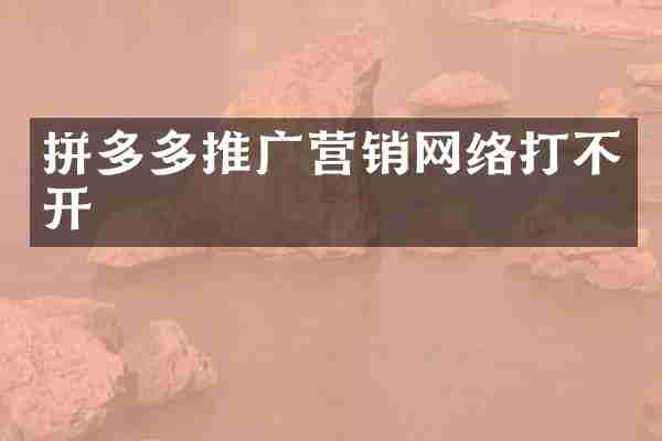 拼多多推广营销网络打不开