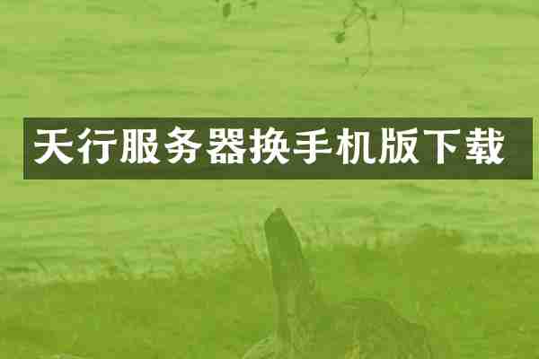 天行服务器换手机版下载