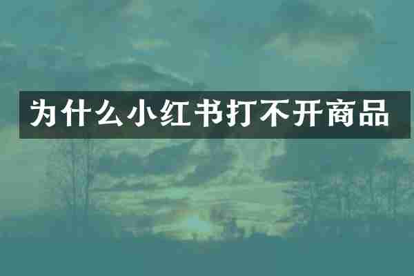 为什么小红书打不开商品