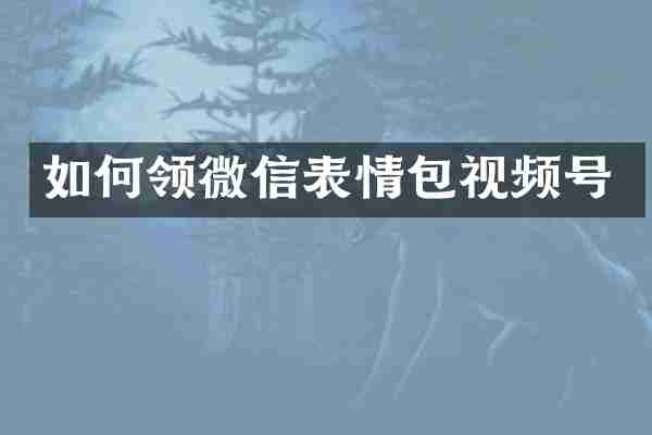 如何领微信表情包视频号