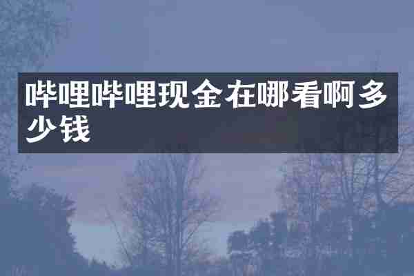 哔哩哔哩现金在哪看啊多少钱