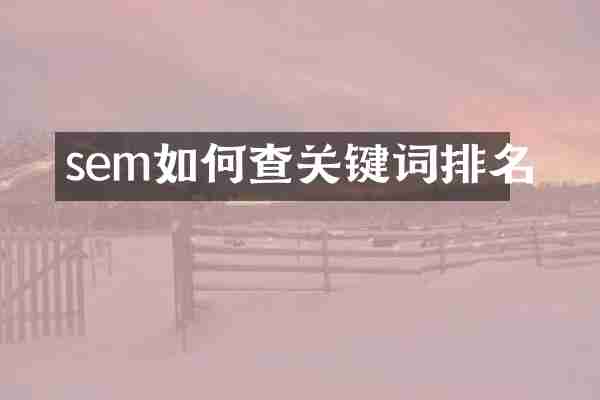 sem如何查关键词排名