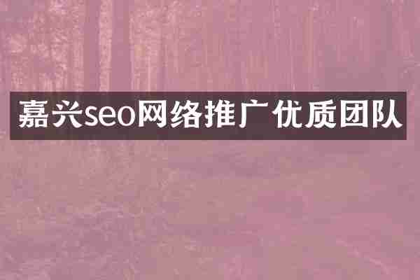 嘉兴seo网络推广优质团队